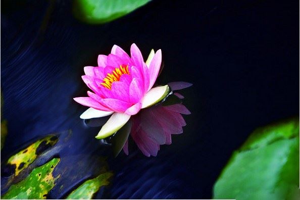 佛教徒如何正确的到寺院向法师请法？