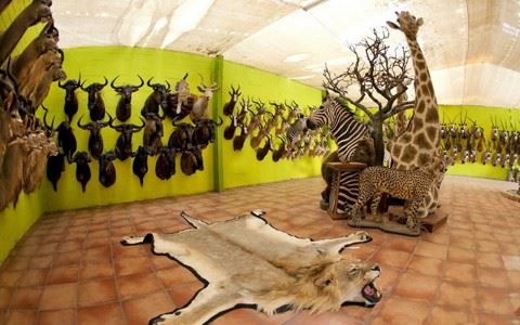 莲花戒论师与摩诃衍那和尚的辩论（五）