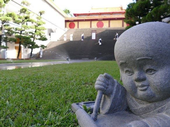 请深信因果戒杀放生，一只有灵性会托梦的小甲鱼因我而死