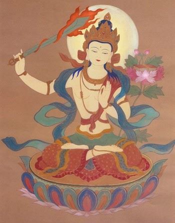 什么是护生，什么是放生，有何不同？