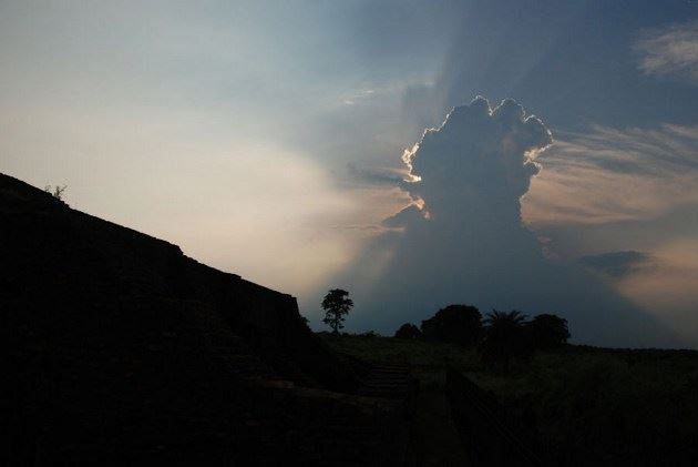 念佛见到阿弥陀佛要走吗