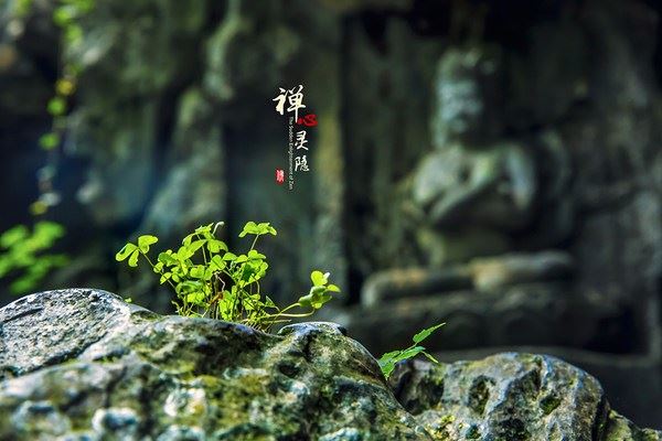 佛教里七觉支的含义