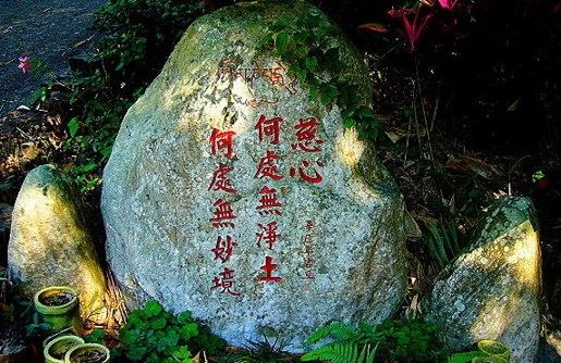 浅说五情，佛教又是如何看待五情的呢？