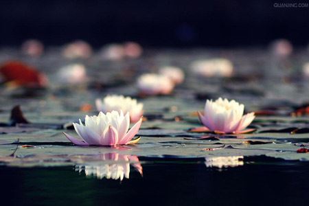 法师讲经有什么礼仪？