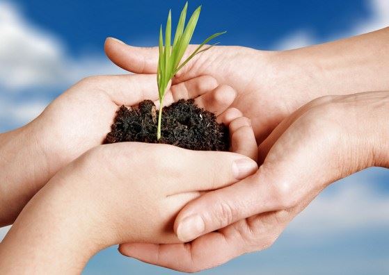 国师是什么意思？佛教国师解释