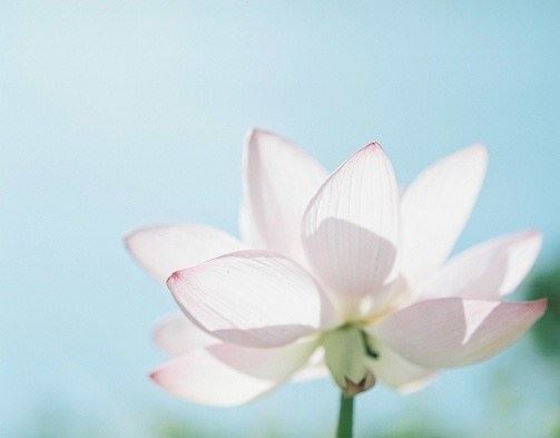 汉传佛教的重要节日有哪些？