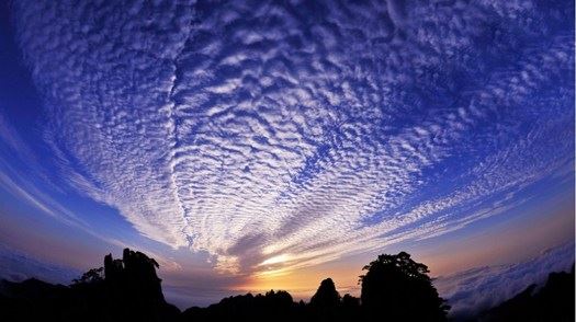 因果循环，看缘起缘灭