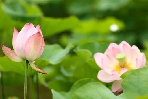 一个人真正的修养是什么？