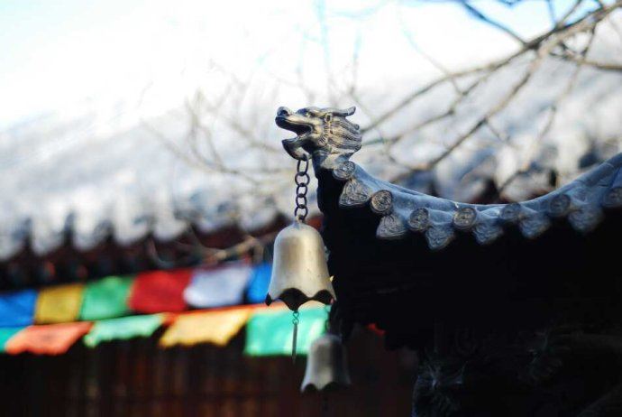 护生戒杀的真义是什么？