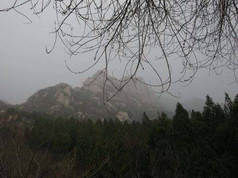 相遇请善待，相别勿伤害