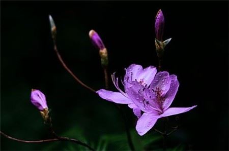 你的福报功德为什么没有增长？