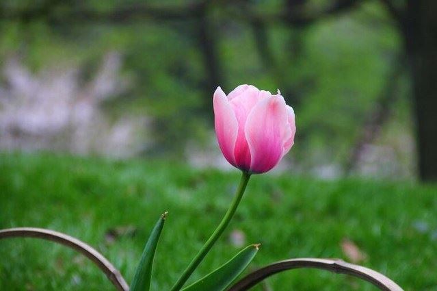 让有限的生命历程充满快乐