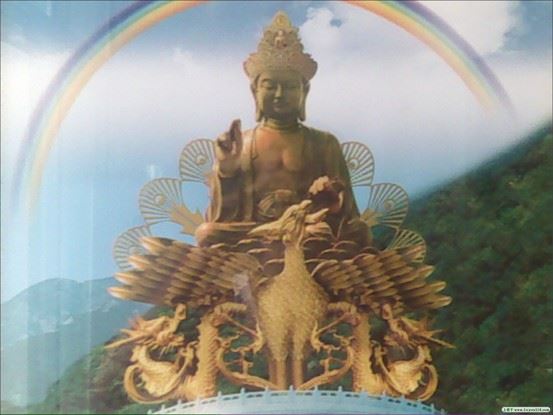 济群法师：佛教也可称为解脱的心理学