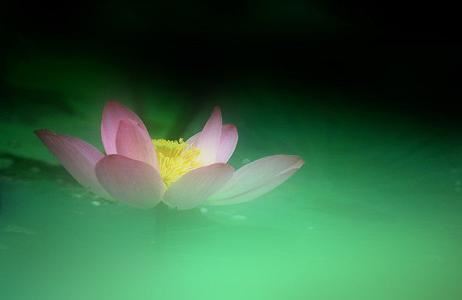 “大雄”是谁？佛教寺院大雄宝殿探秘