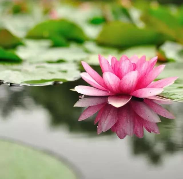 若还能受持这部经，必得佛守护