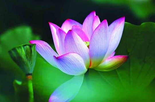 我们一般人所认为的鬼和佛教中的鬼是一回事吗？