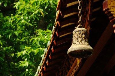 人生起起落落，佛法让我重生