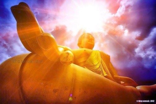 顺其自然就好，心安自然快乐