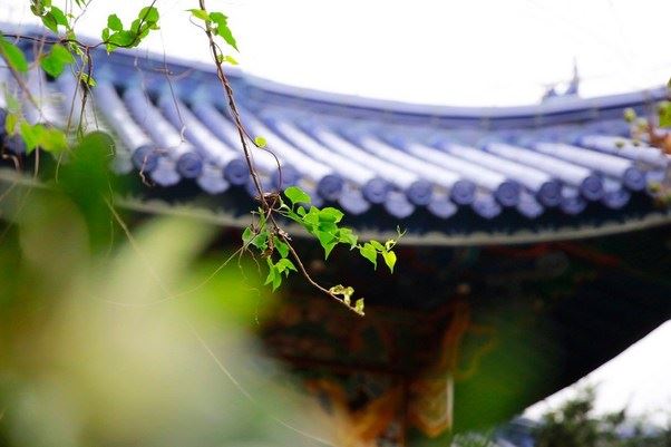 杀生带来的因果报应