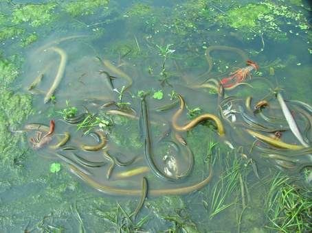 学佛人应该如何处理生活和修行的关系？