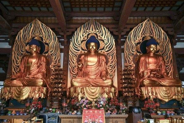 因果法则：因缘会遇时，果报还自受