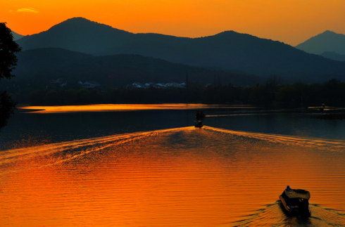 宣化上人：世上最严重的因果报应就是杀生