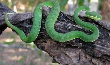 真正的佛学修行就是要做到工作修行两不误