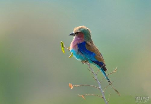 佛教经典的基本构成