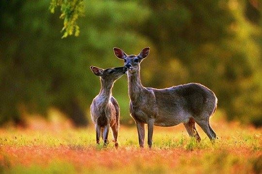 触电念观世音菩萨圣号获救
