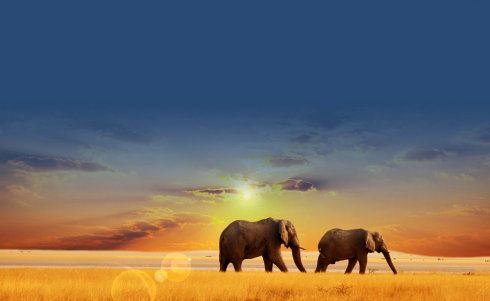 很聪明的人，见到佛，就向佛要求带他走，寿命不要了