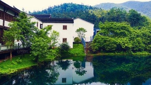 南怀瑾：每一个人的行为，大半受情绪的影响