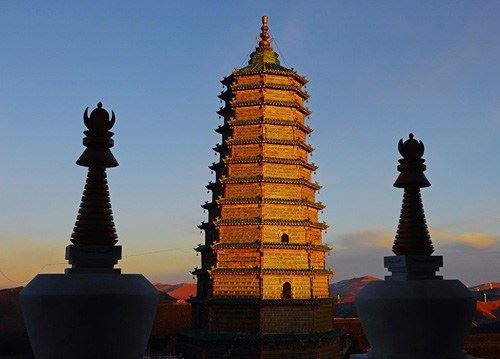 实属难见，见花见吉祥：你知道佛教的四大吉花分别是什么吗