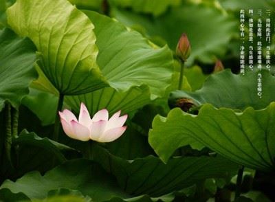 经书上的字读错了还能继续诵经吗？