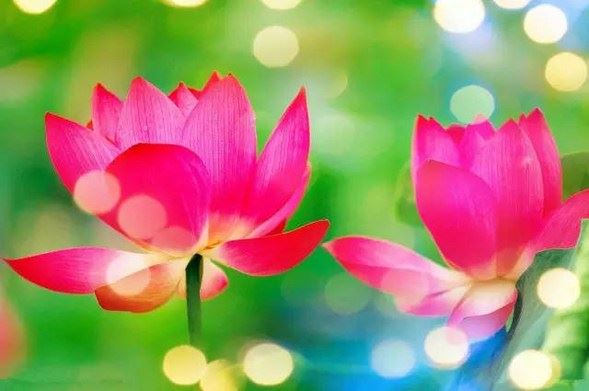 鱼篮观音的故事：以肉身布施，现红粉之相