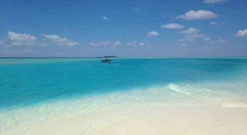 放生与杀生，果报名如镜