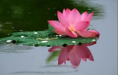 佛教中的“六和敬”具体指的是什么？