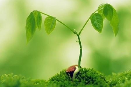 前世贫穷仍欢喜布施，今世投于富贵家常得金钱翁