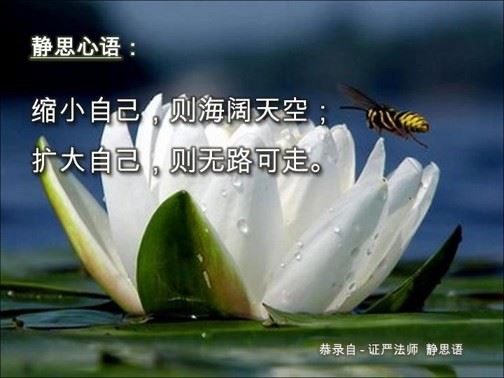 佛教的经典禅理和经典的故事
