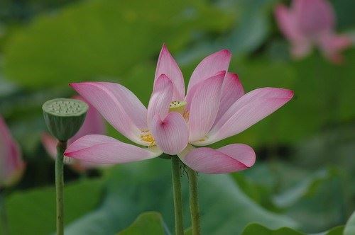 “金钱”有价，“诚信”无价