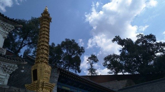 怎样能做到如理如法的放生？