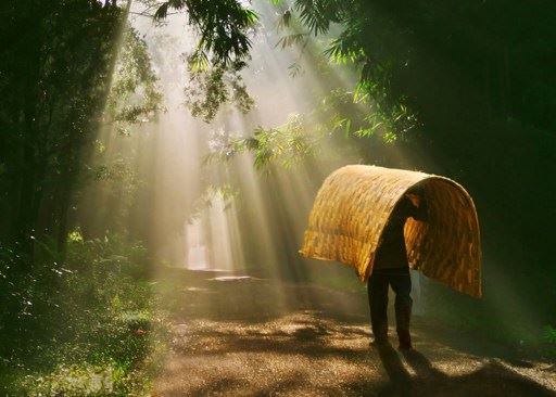 “世间”就是个无相的大禅堂