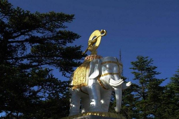 祭祀杀生不能得福，还会加重人的罪业，祸及祖先吗？