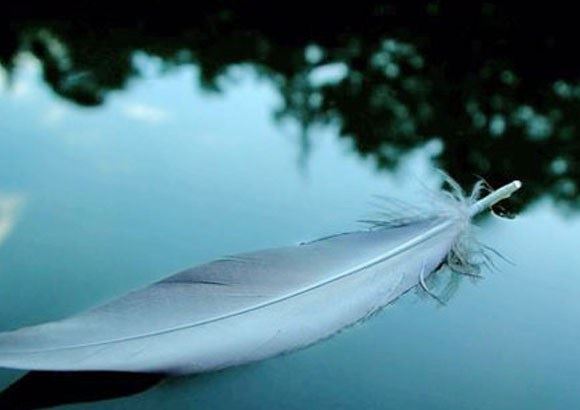 究竟是先有业力还是先有六道轮回？