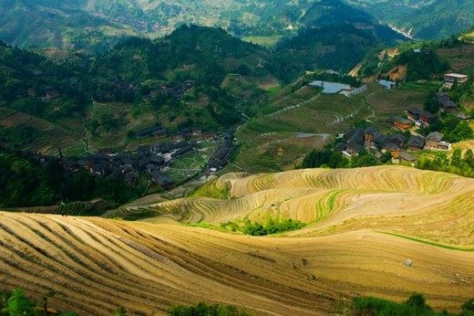 诚心戒杀转命运