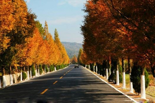 我们今天修净土，从哪里下手？从哪里入门？