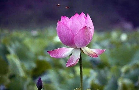 只要听见这三个字，就可以消除三障