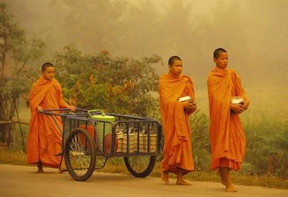 堕胎杀生的因果公案