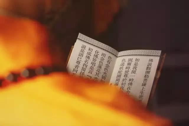 学会用佛法的理念来生活