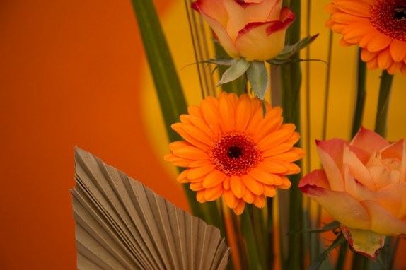 生命无常，人间又少了一位正法的依怙……