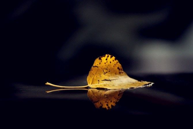 净土法门法语：真诚到极处，豁然就通了